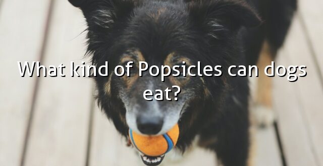 What kind of Popsicles can dogs eat?