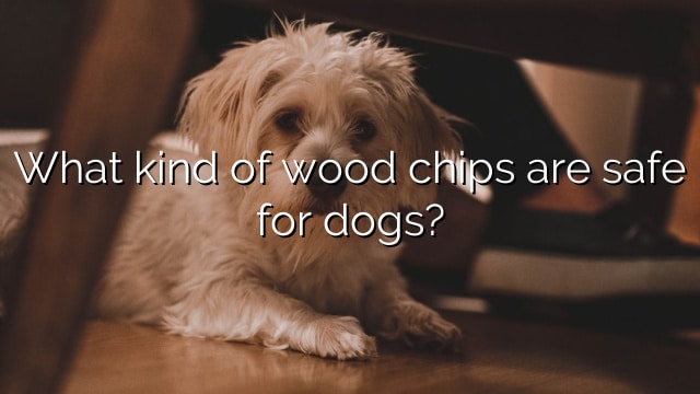 What kind of wood chips are safe for dogs?
