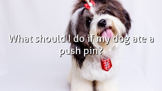 What should I do if my dog ate a push pin?
