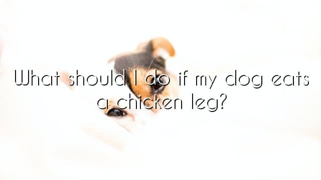 What should I do if my dog eats a chicken leg?