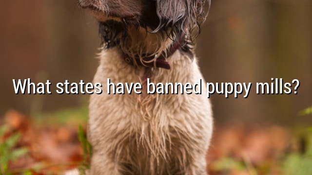 What states have banned puppy mills?