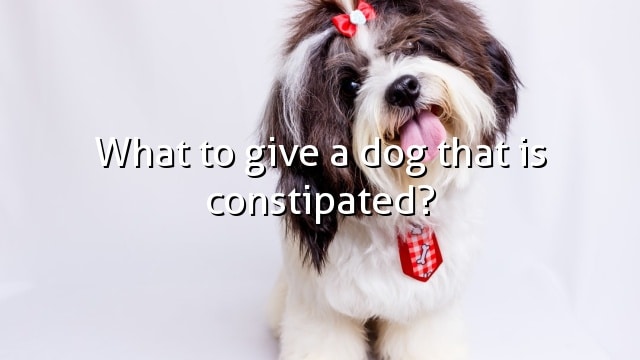 What to give a dog that is constipated?