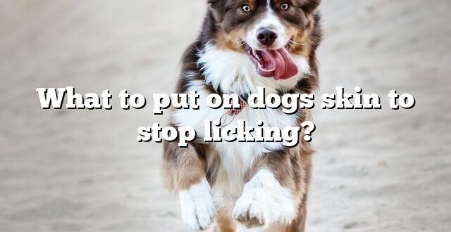 What to put on dogs skin to stop licking?