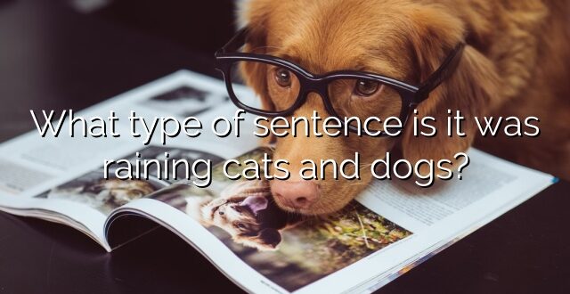 What type of sentence is it was raining cats and dogs?