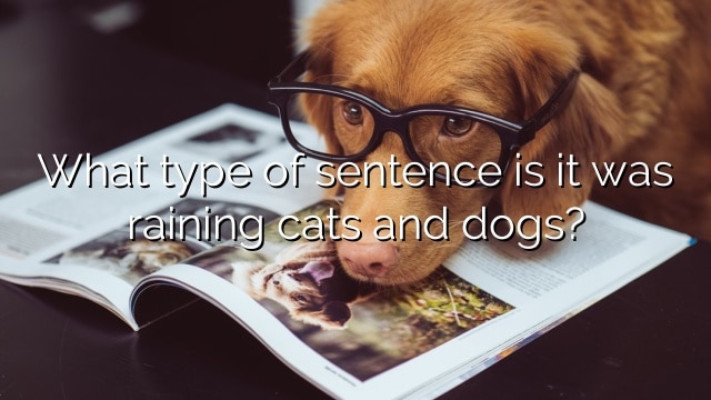What type of sentence is it was raining cats and dogs?