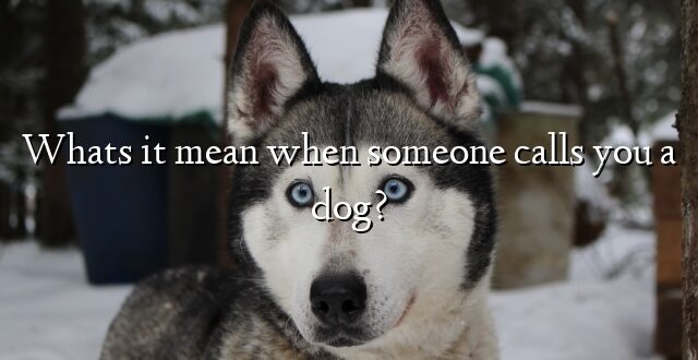 Whats it mean when someone calls you a dog?
