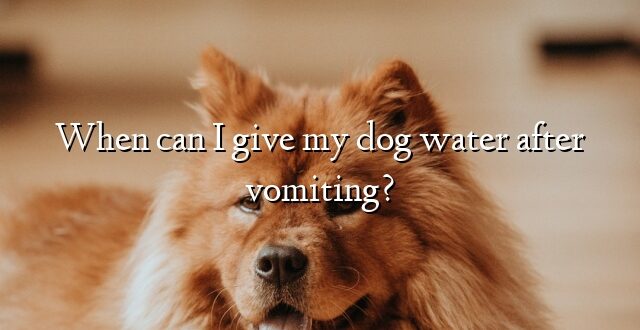 When can I give my dog water after vomiting?