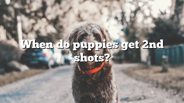 When do puppies get 2nd shots?