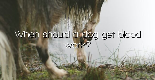 When should a dog get blood work?