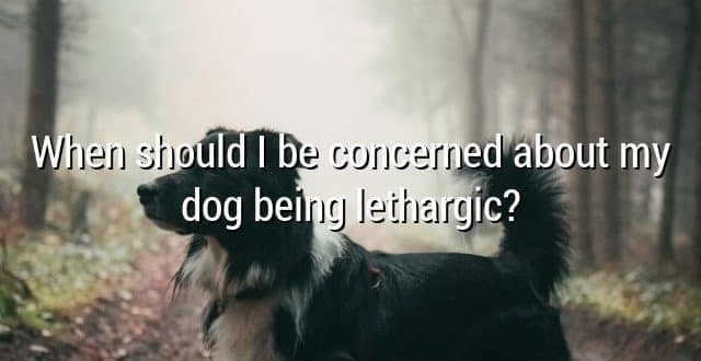 When should I be concerned about my dog being lethargic?