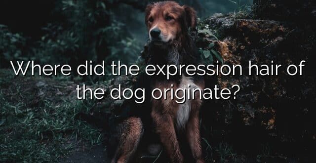 Where did the expression hair of the dog originate?