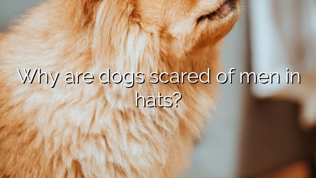 Why are dogs scared of men in hats?