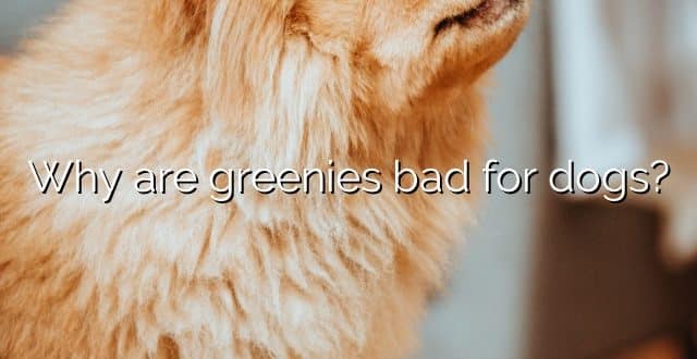 Why are greenies bad for dogs?