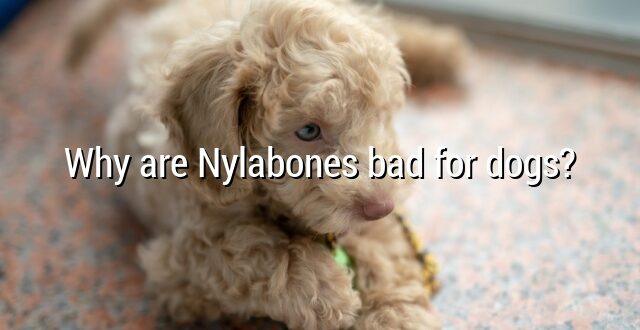 Why are Nylabones bad for dogs?