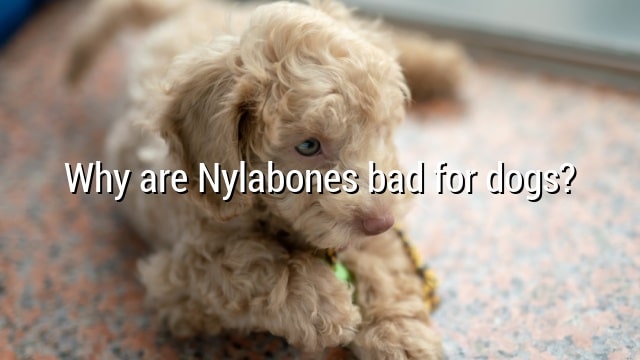 Why are Nylabones bad for dogs?