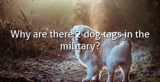 Why are there 2 dog tags in the military?