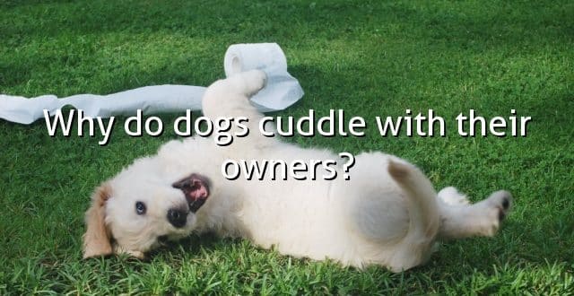 Why do dogs cuddle with their owners?