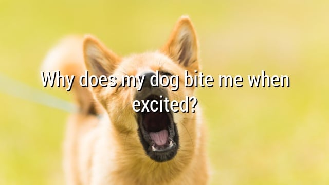 Why does my dog bite me when excited?