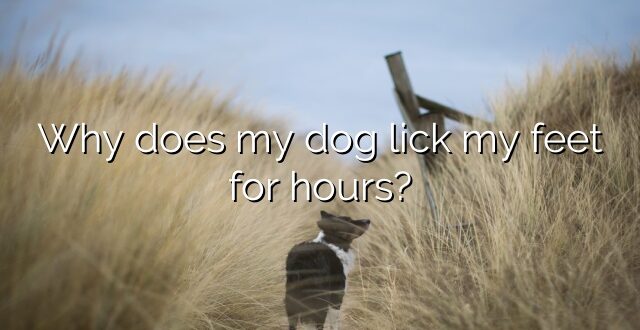Why does my dog lick my feet for hours?