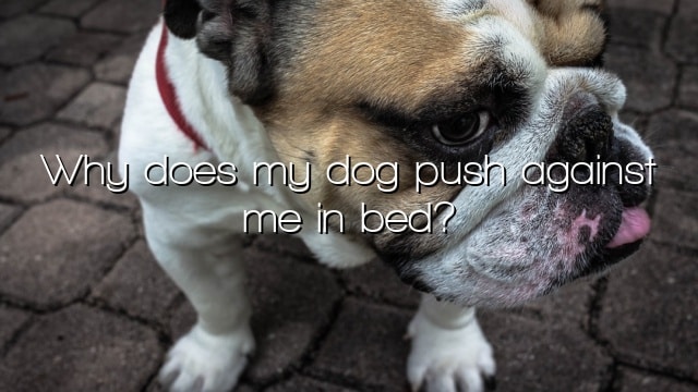 Why does my dog push against me in bed?