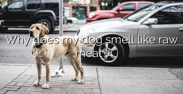 Why does my dog smell like raw meat?