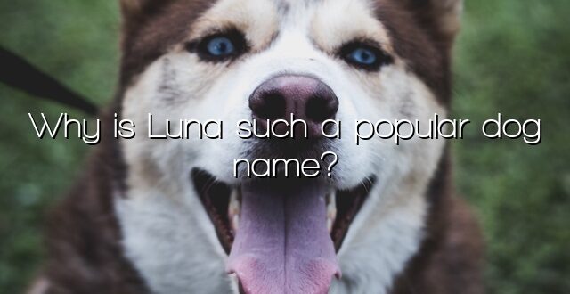 Why is Luna such a popular dog name?