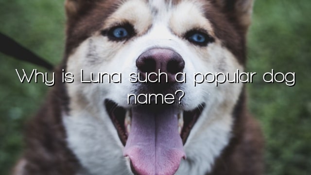 Why is Luna such a popular dog name?