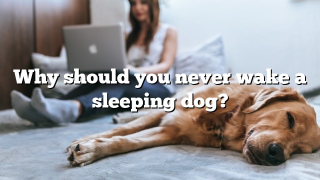 Why should you never wake a sleeping dog?