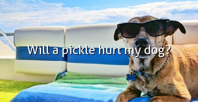 Will a pickle hurt my dog?