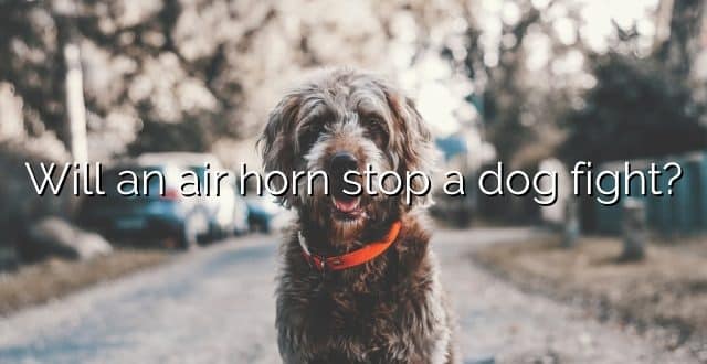 Will an air horn stop a dog fight?
