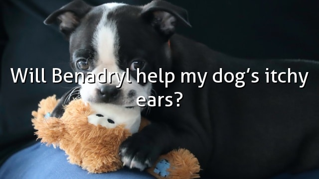Will Benadryl help my dog’s itchy ears?