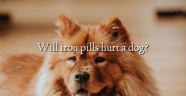 Will iron pills hurt a dog?