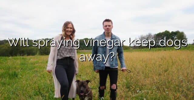 Will spraying vinegar keep dogs away?