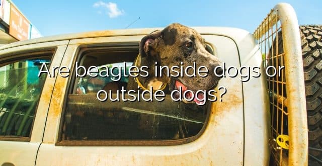 Are beagles inside dogs or outside dogs?