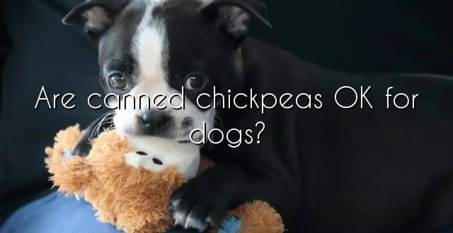 Are canned chickpeas OK for dogs?