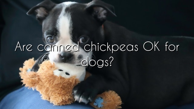 Are canned chickpeas OK for dogs?