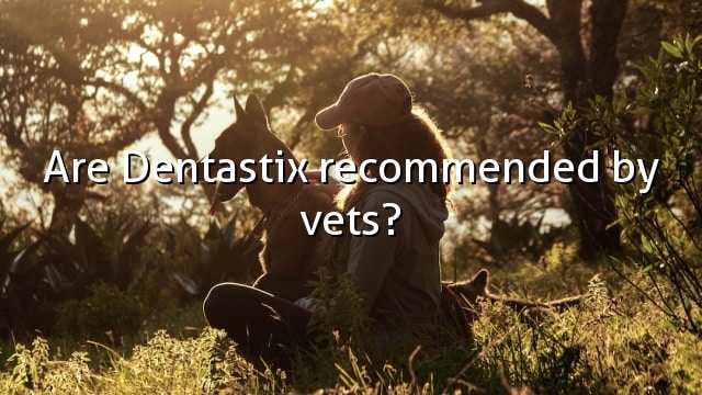 Are Dentastix recommended by vets?