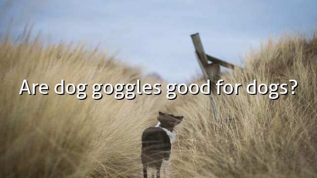 Are dog goggles good for dogs?