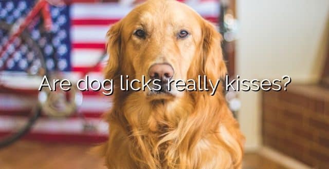 Are dog licks really kisses?