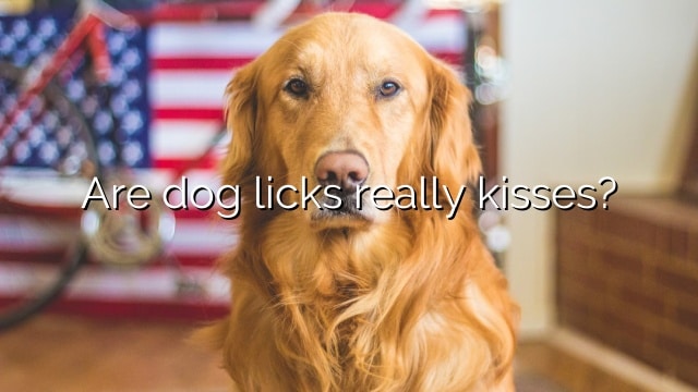 Are dog licks really kisses?