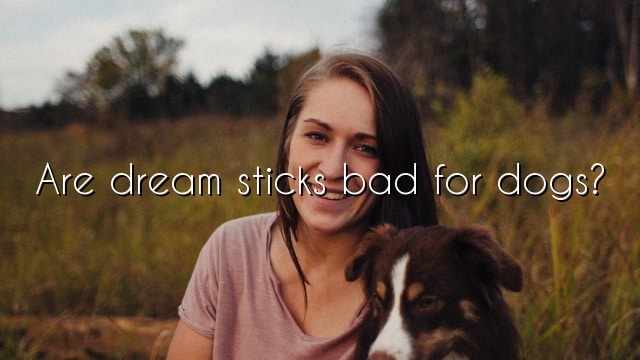 Are dream sticks bad for dogs?