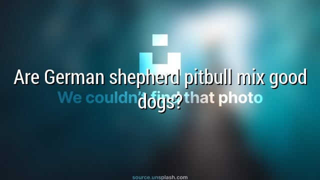 Are German shepherd pitbull mix good dogs?