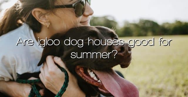 Are igloo dog houses good for summer?