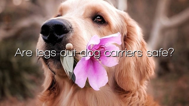 Are legs out dog carriers safe?
