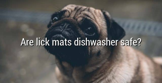 Are lick mats dishwasher safe?