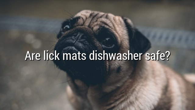 Are lick mats dishwasher safe?
