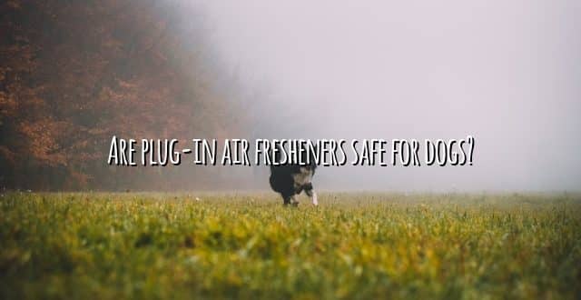 Are plug-in air fresheners safe for dogs?