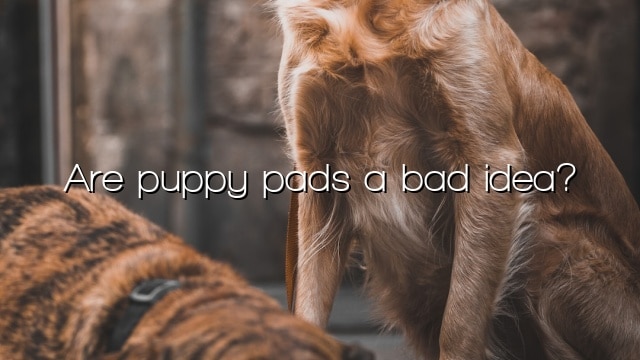 Are puppy pads a bad idea?