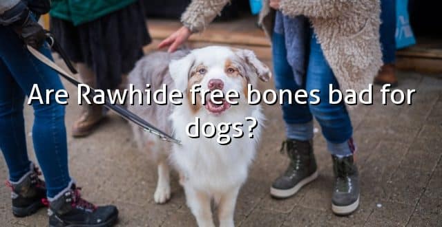 Are Rawhide free bones bad for dogs?