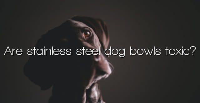 Are stainless steel dog bowls toxic?